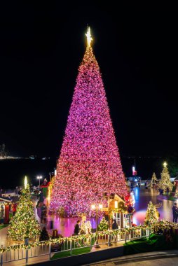 Parkta aydınlatılmış LED Noel ağacının gece manzarası