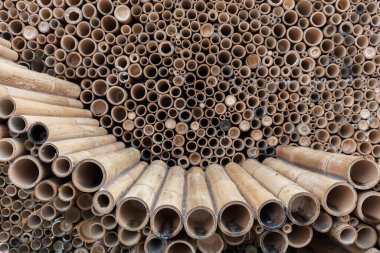 Yapı endüstrisinde kullanılan bambu direği yığını, bambu duvar dokulu arka plan