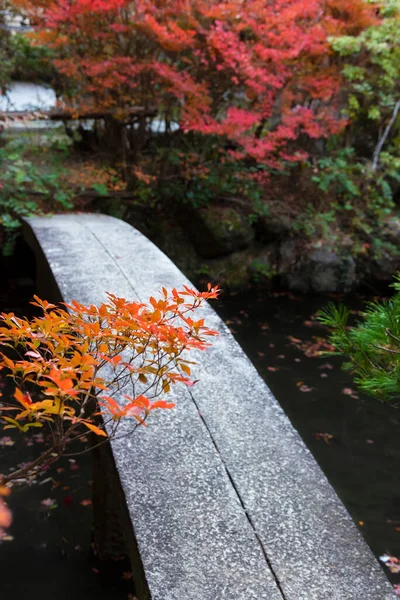 日本の秋の庭の石造りの橋 東洋の自然背景 — ストック写真