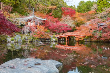 Sonbahar mevsiminde Daigoji tapınağında renkli akçaağaç ağaçları olan güzel Japon bahçesi, Kyoto, Japonya
