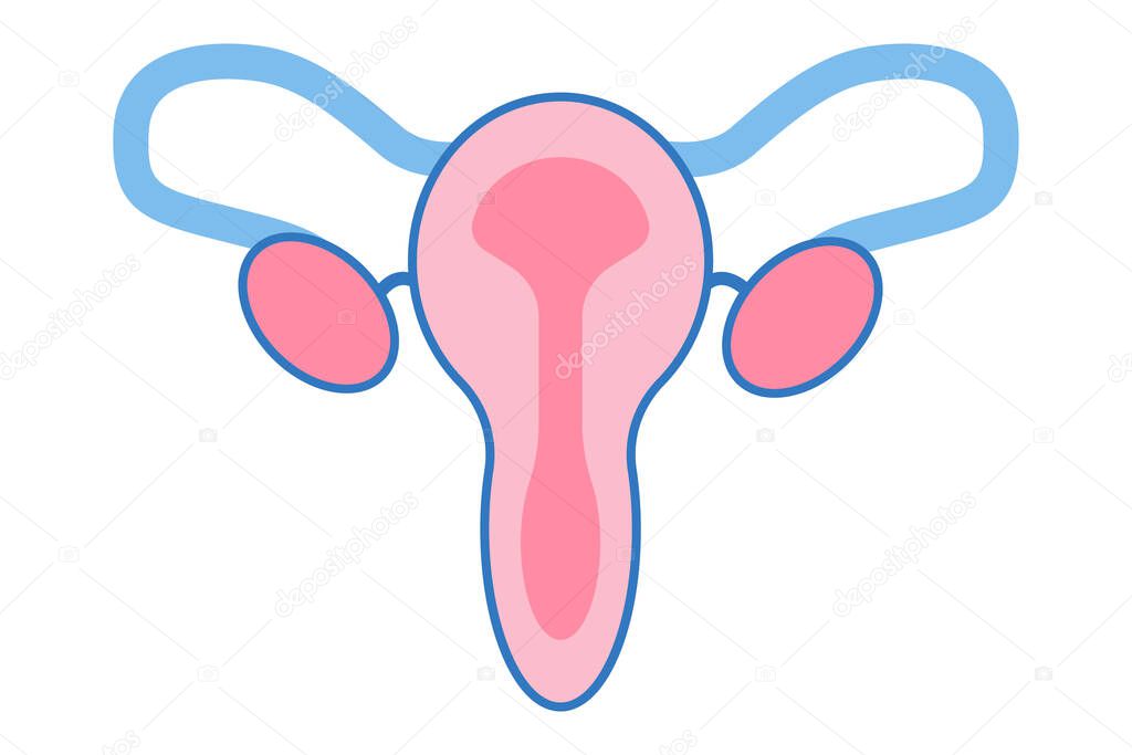Female reproductive system, female reproductive organs. Organs location scheme uterus, cervix, ovary, fallopian tube icon. Vector color flat illustration.