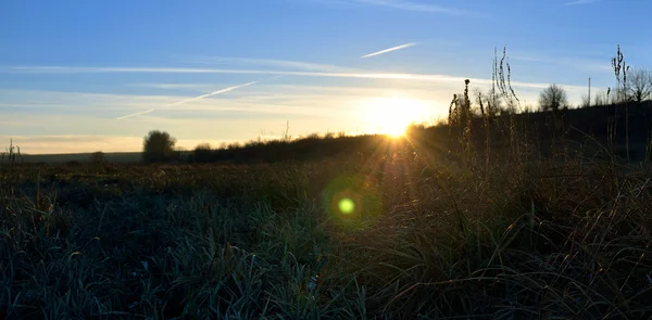 Sonnenuntergang auf der Wiese — Stockfoto