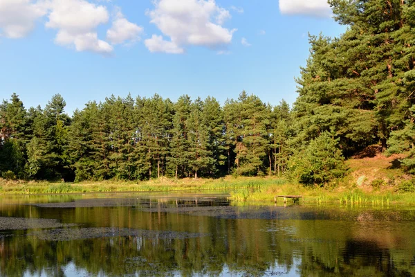 ahşap Gölü yaz aylarında