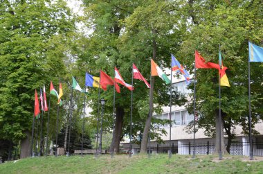 national flags in the park