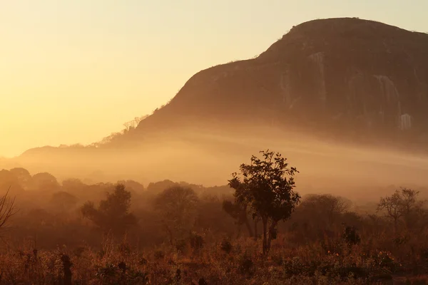 African Savanah Sunrise — Stock Photo, Image