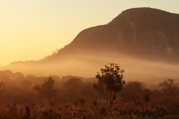 Sonnenaufgang in der afrikanischen Savanne Stockbild
