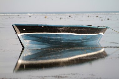 okyanus üzerinde mavi dhow balıkçı teknesi