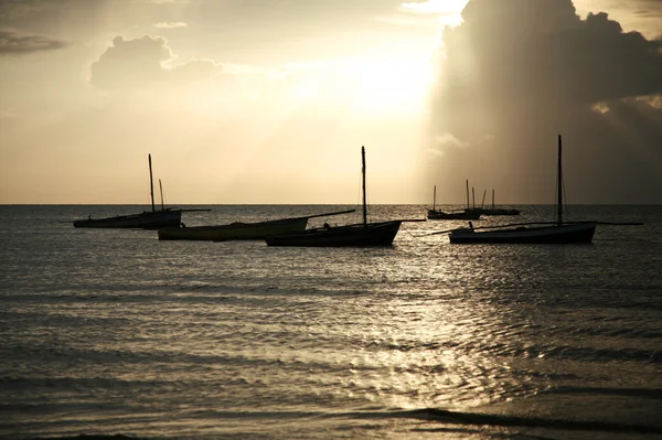Dhow segelbåtar vid soluppgången i mozambiquen ocean, vilanculos, — Stockfoto