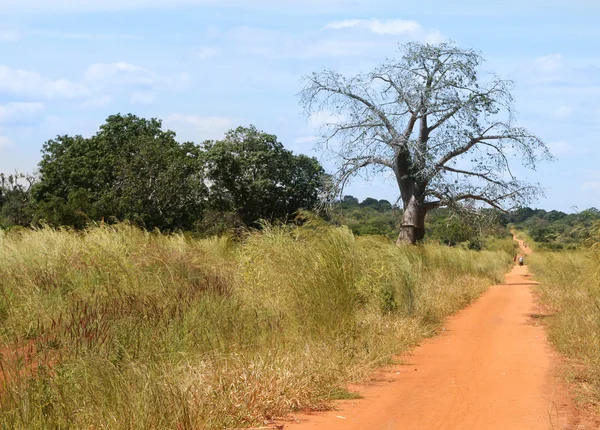 Road leading nowhere — Stock Photo, Image