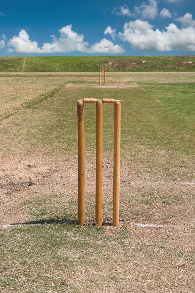 cricket pitch and blue sky