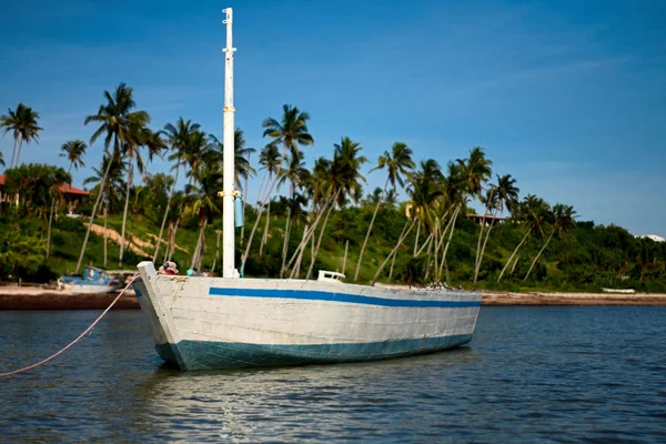 Weiß dhow iii Stockbild