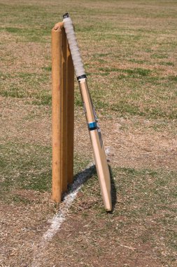 cricket bat and wikets clipart