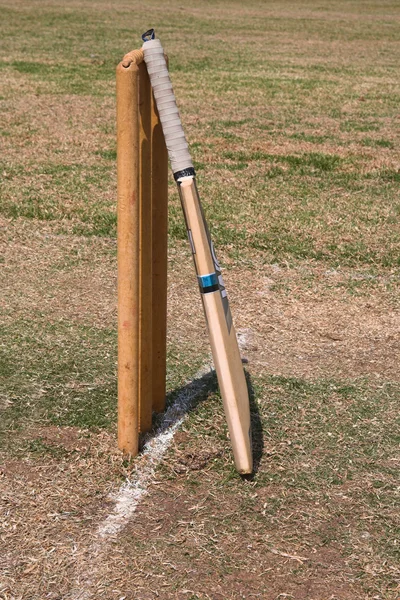 Bastão de críquete e wikets — Fotografia de Stock