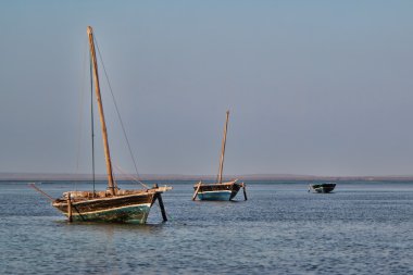 Okyanusu üç yelkenli dhows
