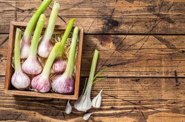 Genç bahar sarımsak soğanları ve karanfiller tahta kutuda. Ahşap arka plan. Üst Manzara. Boşluğu kopyala