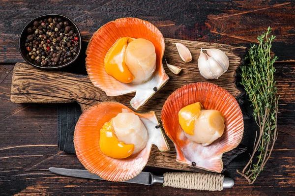 Vieiras cruas frescas em conchas em uma tábua de madeira rústica com tomilho. Fundo de madeira escuro. Vista superior — Fotografia de Stock