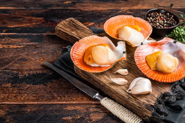 Fresh raw Scallops in shells on a rustic wooden board with thyme. Dark wooden background. Top view. Copy space — Stock Photo, Image