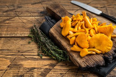 Vahşi Çiğ, kesme tahtasında pişmemiş Chanterelles mantarı. Ahşap arka plan. Üst Manzara. Boşluğu kopyala