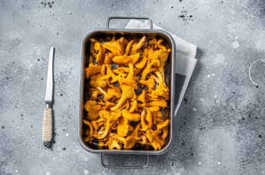 Çiğ, pişmemiş, tepside mantarlı mantar. Gri arka plan. Üst görünüm