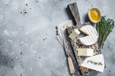 Tahta tahtada nefis peynirli peynir ve fındıklı camembert peyniri. Süt ürünleri. Gri arka plan. Üst Manzara. Boşluğu kopyala