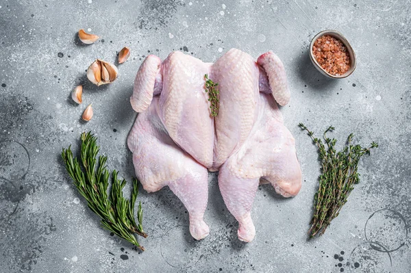 Çiğ spatchcock tavuk eti, sarımsak ve kekik. Gri arka plan. Üst görünüm