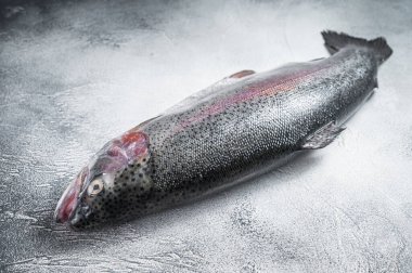 Mutfak masasında çiğ gümüş balık. Gri arka plan. Üst görünüm