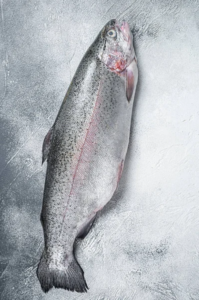Rohe Forellen-Silberfische auf einem Küchentisch. Grauer Hintergrund. Ansicht von oben — Stockfoto