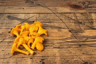 Çiğ, yabani Chanterelles mantarı. Ahşap arka plan. Üst Manzara. Boşluğu kopyala