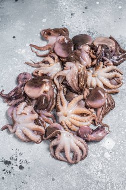 Mutfak masasında bir avuç çiğ yavru ahtapot. Gri arka plan. Üst görünüm