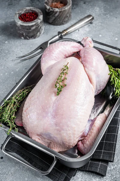 Frango cru inteiro da escala livre na bandeja da cozinha com ervas. Fundo cinzento. Vista superior — Fotografia de Stock