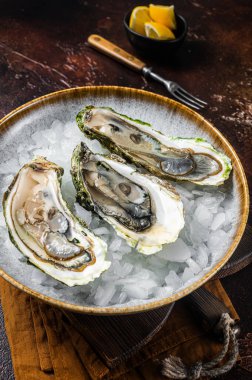 Limonlu ve buzlu taze istiridye. Karanlık arka plan. Üst görünüm