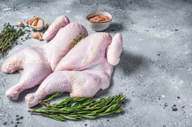 Çiğ spatchcock tavuk eti, sarımsak ve kekik. Gri arka plan. Üst Manzara. Boşluğu kopyala