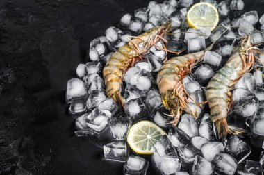 Taze siyah kaplan karidesleri buzlu limonlu karidesler. Çiğ deniz ürünleri. Siyah arka plan. Üst Manzara. Boş kopyalama alanı