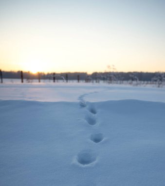 Gün batımında kış manzarası