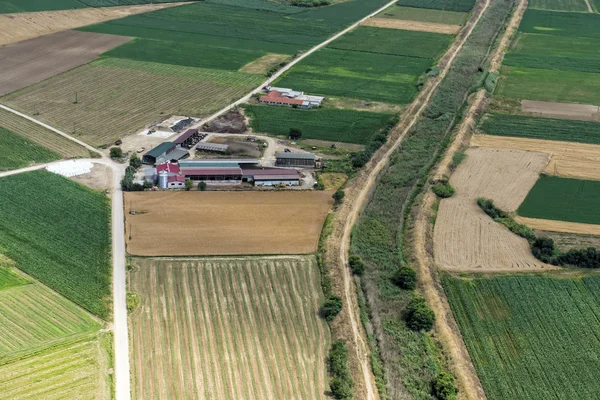 Aerial view of a small cow farm