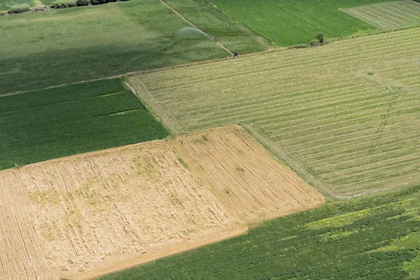 Vista aérea de campos verdes en el paisaje rural Imágenes de stock libres de derechos