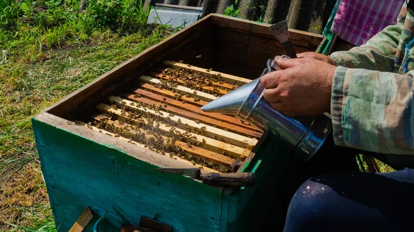 Apicultor Trabaja Colmenar Colmena Producción Miel Trabajar Casa Apiary Enjambre —  Fotos de Stock