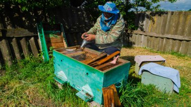 Zheltoe köyü, Dnipropetrovsk bölgesi, Ukrayna - 05 / 03 / 2022: Arı yetiştiricisi arıda çalışıyor. Arı kovanı ve bal üretimi. Arı kovanında çalış. Arı sürüsü.