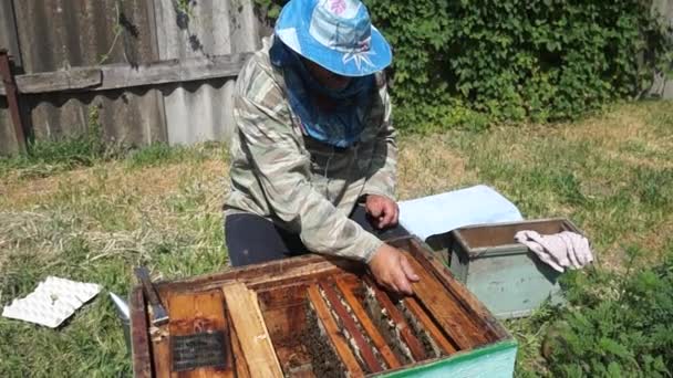 Vesnice Zheltoe Dněpropetrovsk Ukrajina 2022 Včelař Pracuje Včelíně Produkce Medu — Stock video