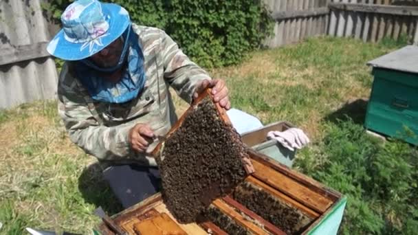 Zheltoe Village Dnipropetrovsk Region Ukraine 2022 Beekeeper Works Apiary Beehive — Stock videók