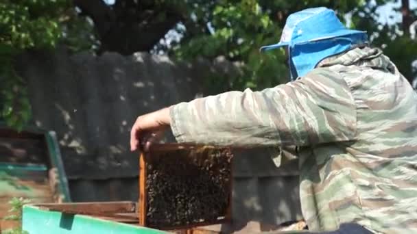 Zheltoe Village Dnipropetrovsk Region Ukraine 2022 Beekeeper Works Apiary Beehive — Wideo stockowe