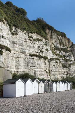 plaj kulübe bira, devon, İngiltere.