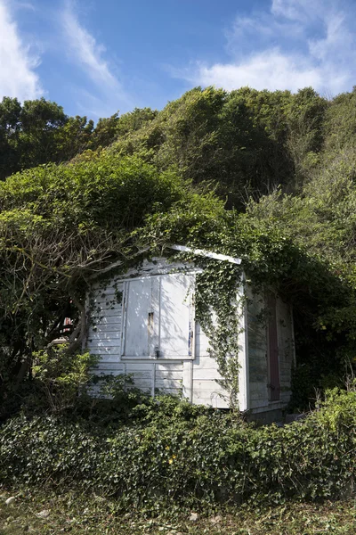 aşırı büyümüş plaj kulübe Kilisesi ope cove, portland, dorset, İngiltere.