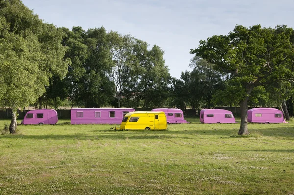 pembe karavanlar arasında sarı karavan