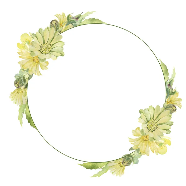 Papatyalı suluboya çelenk ve sarı çiçekler. El yapımı tatil, düğün davetiyesi..