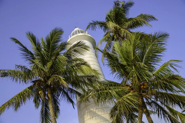 Stara latarnia morska na tle niebieskiego nieba jest otoczony przez palmy — Zdjęcie stockowe