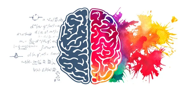 Hemisferio Izquierdo Derecho Del Cerebro Humano Acuarela — Vector de stock