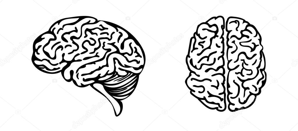 Brain line art icon set isolated on white