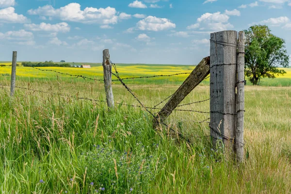 Grass Surrounding Fence Post Fence Old Abandoned Barn Distance — Stock Photo, Image