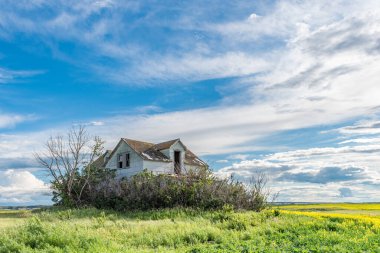 Saskatchewan ovalarında terk edilmiş, eski bir ev.